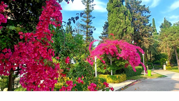 بابلسر کجا عکس بگیرم؟
